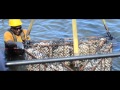 Grand Isle Community and Environment