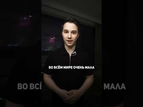 Самая красивая и редкая лошадь