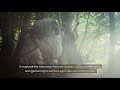 Neolithic Revolution and Early Agriculture