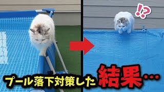 猫がプールに落ちまくるのでブルーシートで対策した結果…【関西弁でしゃべる猫】【猫アテレコ】