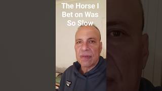 The Horse I Bet on Was So Slow