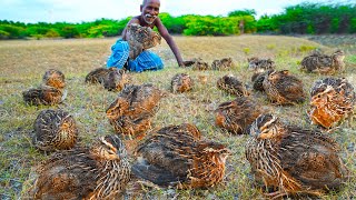 VILLAGE QUAIL VADA RECIPE | காடை வடை | Delicious Village Food | Grandpas Heathy food