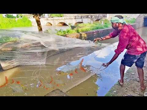 Underwater Machli Wala in Dam Fishing | PESCADO | मछली पकड़ना