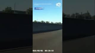 Officer rescues cat from busy California freeway