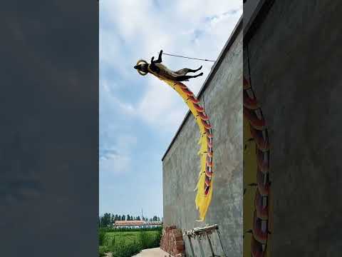 dog long time jump from wall #shortsvideo #shorts #viral #youtubeshorts #lifeisbutadream