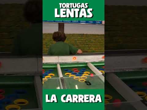 La Carrera de TORTUGAS Lentas