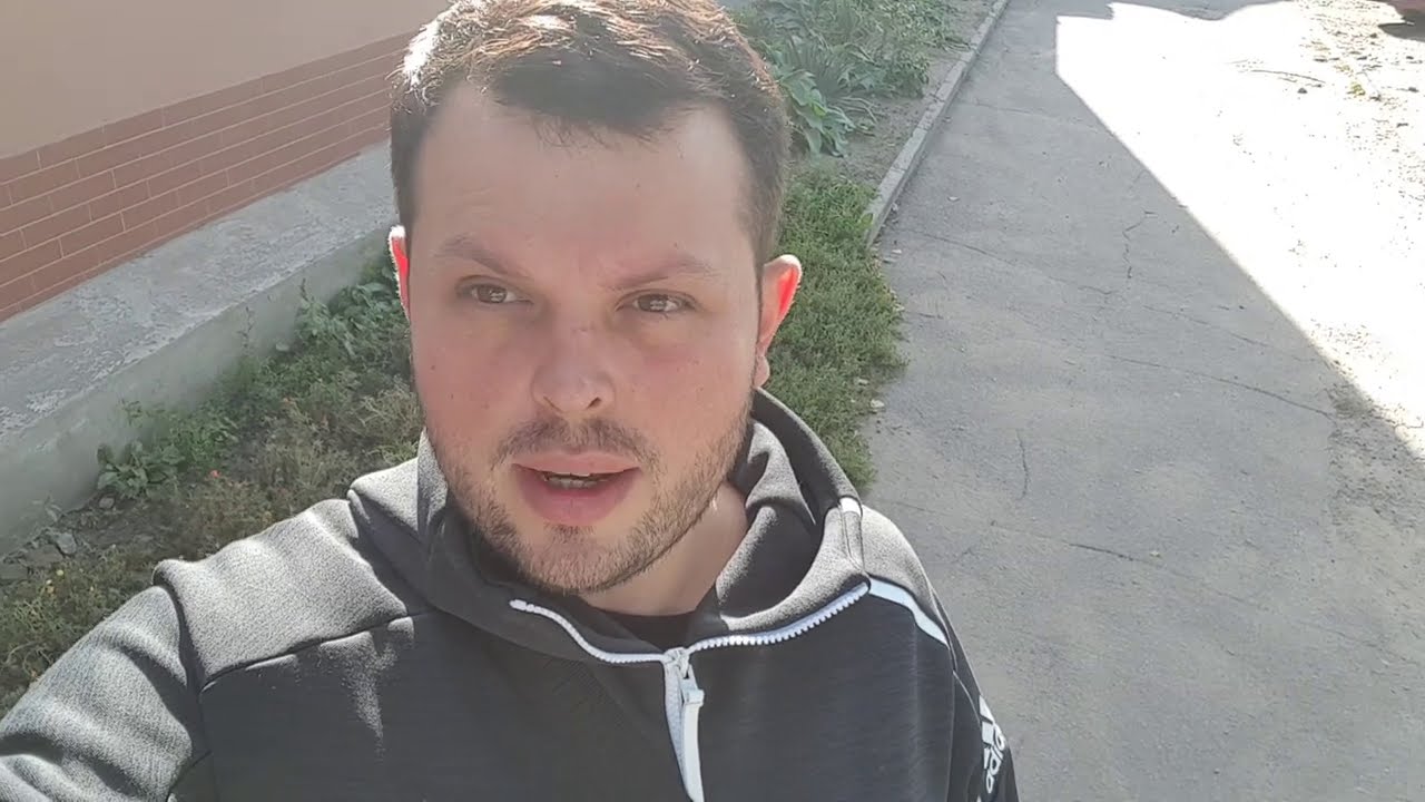 Долли забрали на операцию и сделали прививку Вилли