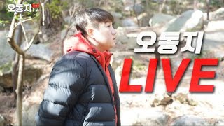 급성담낭염수술