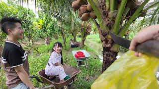 Lập Kế Hoạch Hái Dừa Và Đột Nhập Ăn Ké Nhà Chị Thu. || Ut Mini. 