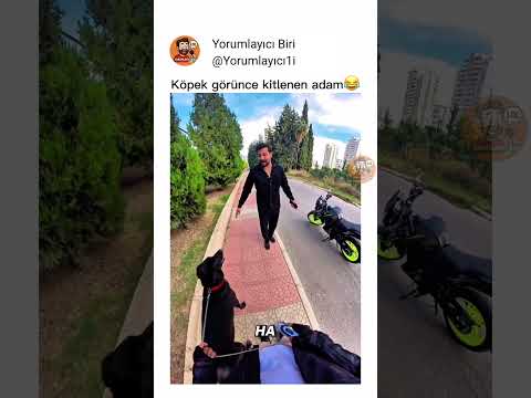 Köpek görünce kitlenen adam #komikyorumlar