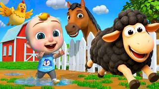 Baa Baa Black Sheep + Five Little Ducks | More Nursery Rhymes & Kids Songs Compilation
