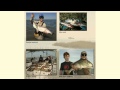 Texas Coastal Ecosystems and Economy