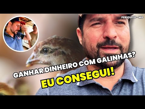 Como TRANSFORMEI o Criatório Neves em um dos MAIORES negócios de Avicultura do Brasil!