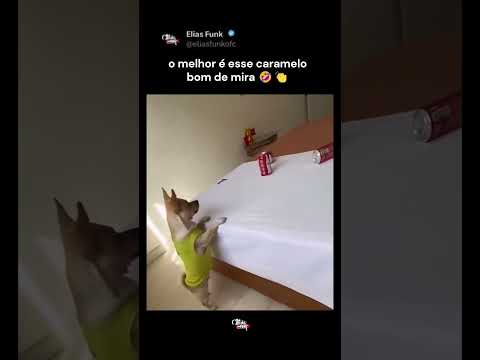 Esse caramelo é brabo 🤣🤣