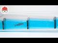 Understanding Fishways and Their Engineering