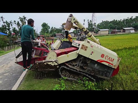 GAM Harvester working in Assam | GAM Harvester machine working rice farming video ||