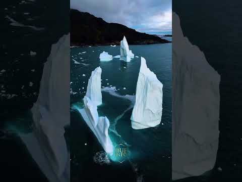 அன்டார்டிகா பனி உருகினால் என்ன ஆகும்? 🏔️