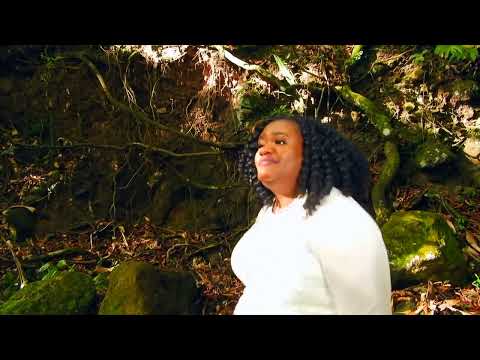 "Knock On My Hearts Door" (Official Music Video) @iamlisaharris
