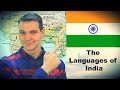 Linguistic Diversity in India