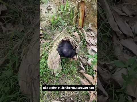 Gọi mãi không thưa cái tên này