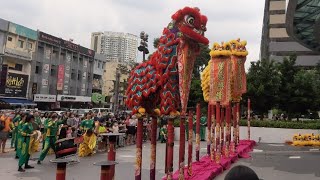 Acrobatic Lion Dance 2023, Malaysia @ The Starling Mall