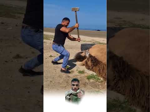 ٢٤ مايو ٢٠٢٥