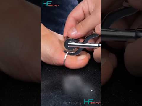 ভাগ্যবান মহিলারা এরকম জামাই পায় #shortvideos #fact