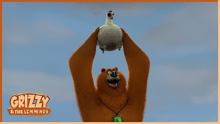Hold-Up, Hens & Yummy | Grizzy & the lemmings 🐻🐹