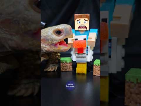 Minecraft ASMR Mukbang Eating "Steve Jockey" 😨 Turtle Tortoise
