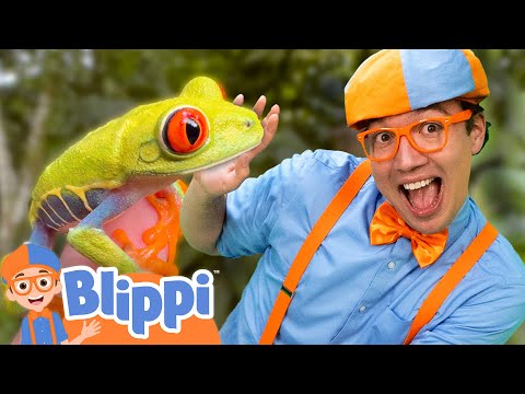 Rainforest Adventure with Blippi and Mark Vins | Brave Wilderness for Kids | Educational Videos