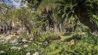 Municipal Garden of Funchal