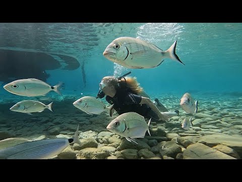 YouTube video thumbnail: Discover Bodrum’s Eco-Luxury Side: Golf Resorts, Gulet Yoga Cruises and Underwater Adventures