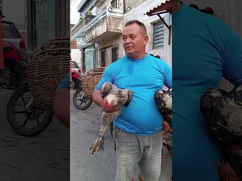 o preço do frango você gostou Limoeiro-PE