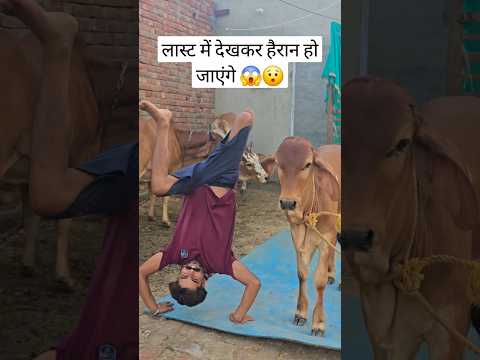 लाइक तो कर दिया करो गाय माता को 🙏🙏 #foryou #funny #viral #gaumata #trending #subscribe #shortvideos