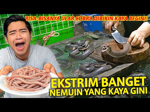 EKSTRIM BANGET! ULAR COBRA DIMAKAN DAN DIMINUM DARAHNYA! KOK ADA YA YANG KAYA BEGINI?!