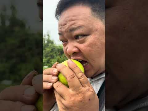 What fruit is this everyone? #survival #camping #bushcraft #outdoors #shorts