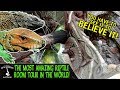 Reptile Facility Insights and Construction