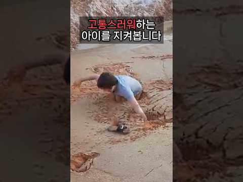 퀵샌드에 빠진 아들을 보고만있는 아빠 ㄷㄷ