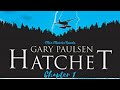 Surviving the Wilderness: Brian's Journey in Hatchet