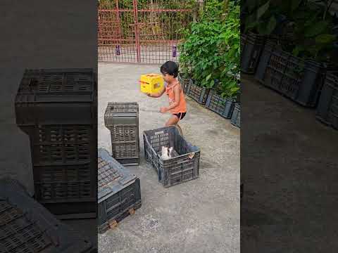 Baby relieved her trapped kitten #care