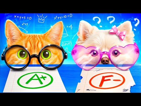 Cara Merawat Hewan Peliharaanmu! Kutu Buku vs Populer!