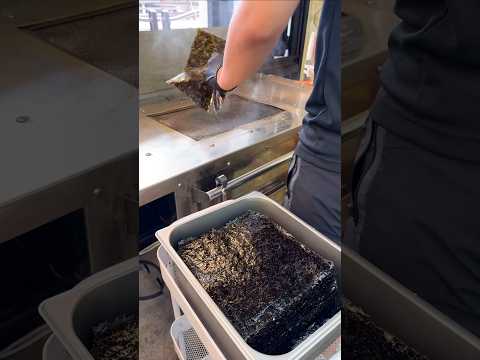 즉석 맥반석 구이김│Grilled seaweed, Gim