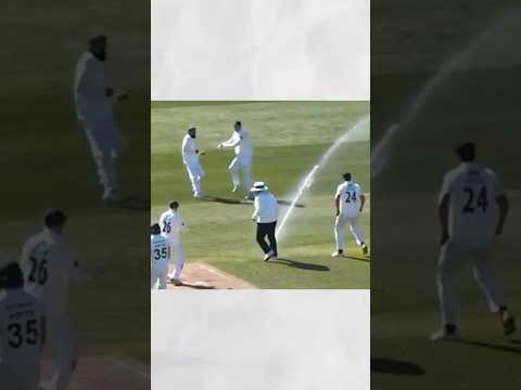 Can't Believable Moments In Cricket