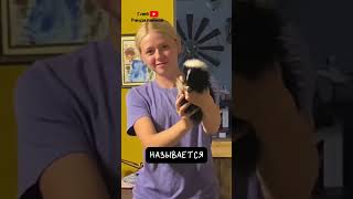 Скунс 🦨 Умный Вонючка