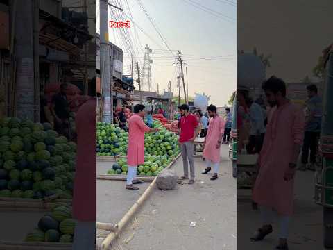 তরমুজ এর আড়ৎ
