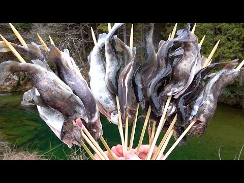 山の土地にながれる川で、アマゴ釣りまくってその場で即炭火焼きしてみた！