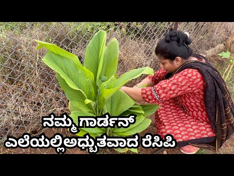 ಹೊಸ ಮನೆಯ ಗಾರ್ಡನ್ ಇಂದ ಎಲೆ ಕುಯ್ದು ತಂದು ಅದ್ಭುತವಾದ ರೆಸಿಪಿ ರೆಡಿ/Tasty recipe from the leaves of r garden