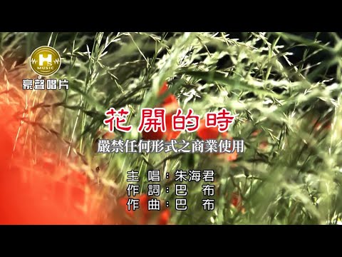 朱海君-花開的時【KTV導唱字幕】1080p HD