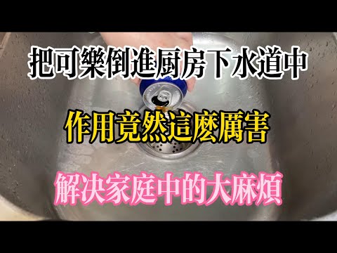 把可樂倒進廚房下水道中，作用竟然這麼厲害，解決家庭中的大麻煩，【美食大發現】