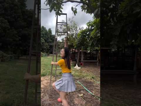 Mau ketawa takut dosa video lucu bikin ngakak hiburan warga+62 viral video funny videos funny shorts